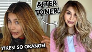 3 Must Try Toners for Brown Hair 1
