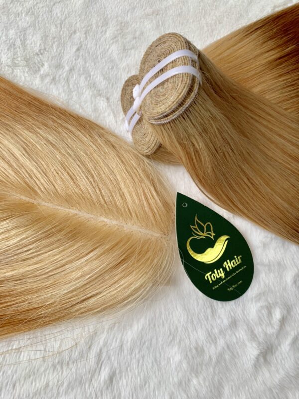 Ombre color weft human hair extension 1