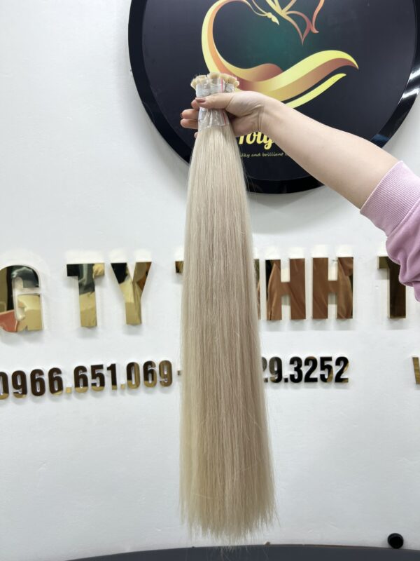 Vietnamese Virgin Hair 2